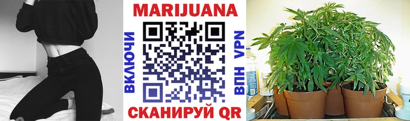 Как найти наркотики Балашов Бошки Шишки COCAIN ГАШИШ