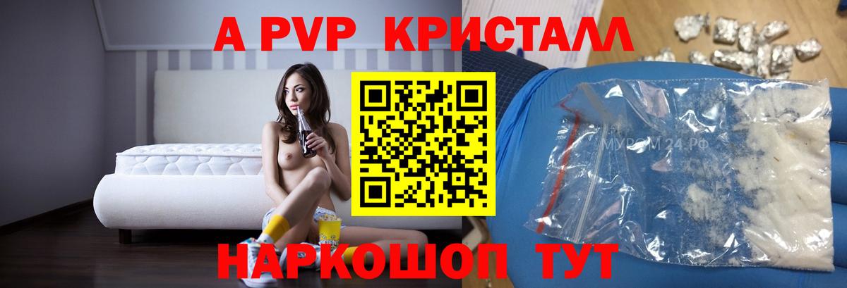 A PVP СК КРИС Балашов