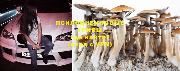 кокс Алексин