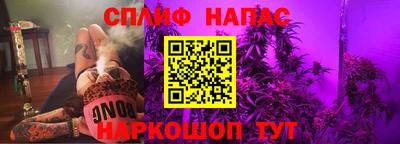 Альфа ПВП Малгобек