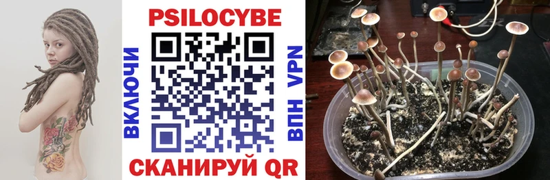 mega зеркало  Балашов  Псилоцибиновые грибы мухоморы 