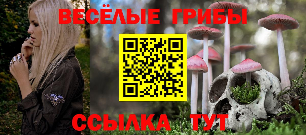 Галлюциногенные грибы MAGIC MUSHROOMS  Галлюциногенные грибы мицелий  Балашов  Вход с VPN 