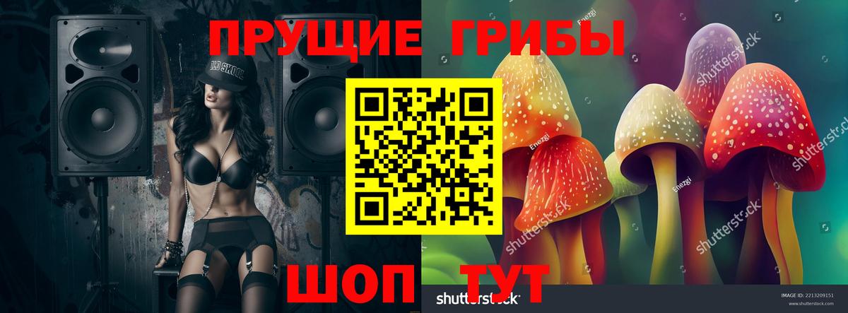 Псилоцибиновые грибы прущие грибы Балашов
